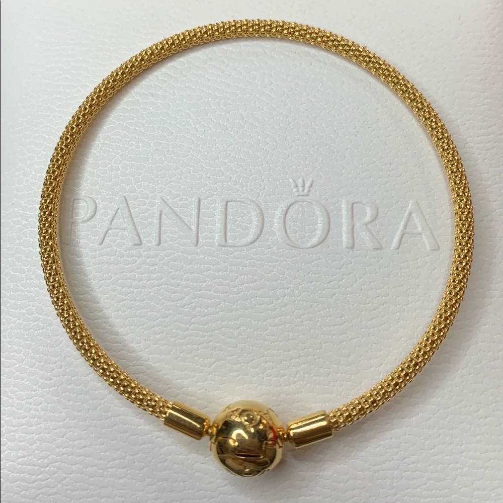 Pandora Mesh Bracelet